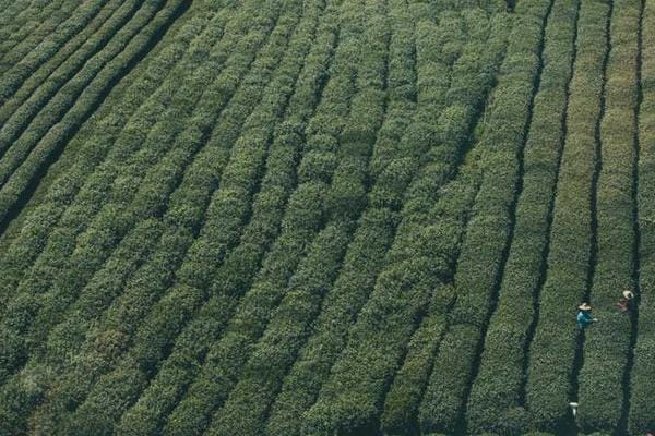 Changeling: The Lost